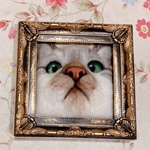 オーダー対応.愛猫の羊毛フレームオブジェ(サバシロ)