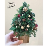 【再販】＊・最後１点のみ！毎年楽しめる♪ヒムロスギのミニクリスマスツリー