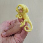 指につかまりたいカメレオン