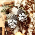 【HIZEN5】Snow Flower pierce (NO.3772)