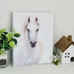 【予約品】 F様 専用ページアートパネル  白馬  