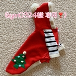 《 Kyori0324様 専用❣️》犬服！クリスマス仮装🎄🤶小型犬DMサイズ  フリースパーカー(胴長) (完成品)