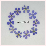 No.7 バーベナ　〜 押し花