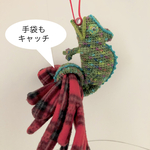 カメレオングローブフォルダー