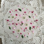 押し花素材　No853　ピンク色の小花のセット