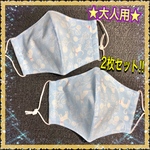 ★大人用立体マスク★ 2枚セット