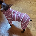 ミニピン服ボーダーロンパース