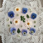 押し花素材　No856　小花のミックスセット