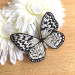 オオゴマダラの立体刺繍ブローチ