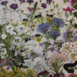 押し花 素材 ミニビオラ他小花セット　💐