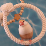 安全で安心《お花のぬくぬくブランコ》SSサイズ✩.*˚鳥ブランコ-文鳥ブランコ