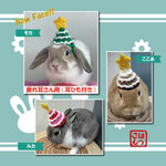 うさぎ用🐰クリスマスツリー帽子🎄