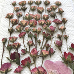 🌹3点で1500円🌹（1点のみは600円）