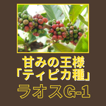 ラオス　アラビカG-1ティピカ　200g