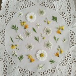 押し花素材　No858　メラスフェルラのミックスセット　