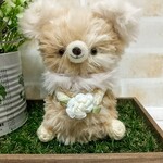 ふんわりクマちゃん編みぐるみ