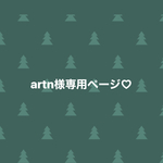 artn様専用♡