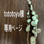 tototoyu様 専用ページ