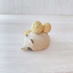 ぽん次郎　小鳥たくさん