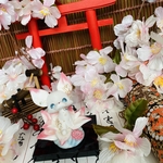 水面・蓮九尾