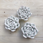 多肉粘土　マグネットF〜Claysucculents fridge magnetF〜