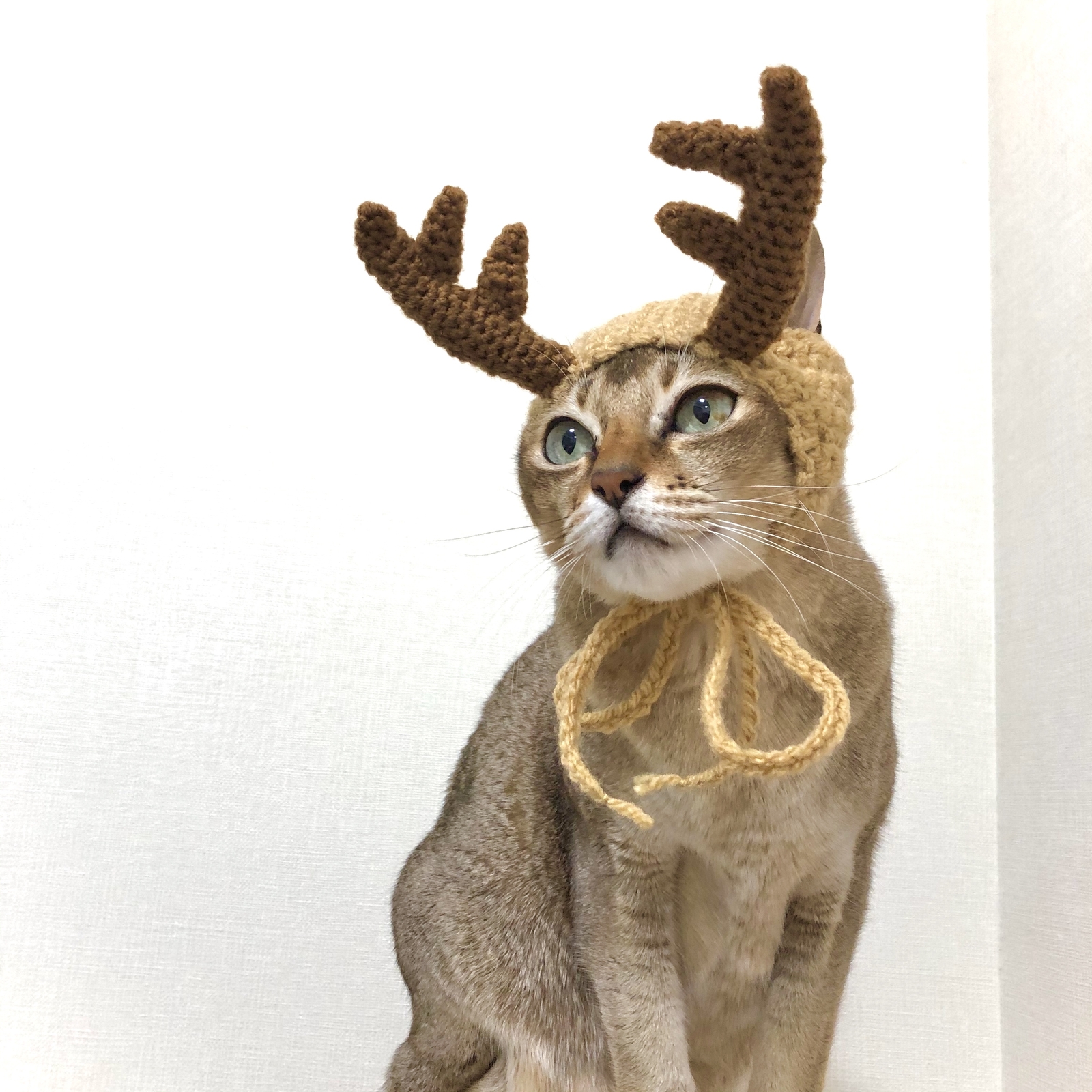 トナカイ 耳出し帽子 ハンドメイドマーケット Minne