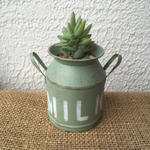 新色リメ缶(MILKウインターグリーン)多肉♫植物♫オーダー受付中