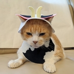 ブラックモーモーコスプレ