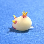 ウミウシマスコット （ゾウゲイロウミウシ）