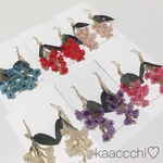 ▷送料無料*スターフラワー ピアス✳︎イヤリング◁