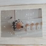 X'mascard