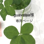 guavatea様専用ページです