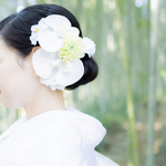胡蝶蘭ヘアドレス