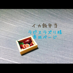 ミニチュアイカ飯弁当