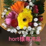 hort様専用品