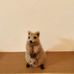 クアッカワラビー の親子