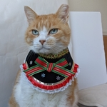 Xmasストライプリボンドレス