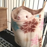 あったか★小動物ねぶくろ