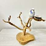 【ピッチ様専用】国産カイヅカイブキのピークパーチ・卓上パーチ【セキセイインコ・小型インコ】