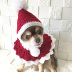 犬クリスマス マント✨