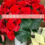 お客様専用ページ🧚🏻‍♀️(T様)