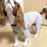 ぬくぬくロンパース