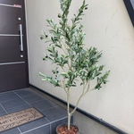 オリーブの木　人工観葉植物　おしゃれなグリーンプラント 140cm