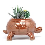 カメ　鉢 ”カメハチ君” 44　鉄赤釉