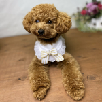 ペット つけ襟  フリル  レース  リボン  ペットアクセサリー  ペットグッズ  ペットウェア 犬グッズ  猫 ランマルシェ  