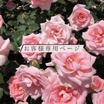 お客様専用ページ