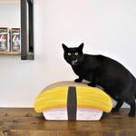 [送料無料]　猫用　お寿司型爪とぎ　まぐろ×たまご