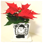 似顔絵入りポインセチア鉢植え