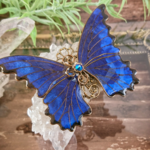 ブルーモルフォ蝶のブローチ（標本タイプ）.（Brooch of blue Morpho butterfly 〜Sealed time〜）　