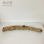 【suugy様専用ページ】ゲージサイズでカクタスパーチ（サボテンの骨）HOEI465・直径3～4cm×44cm